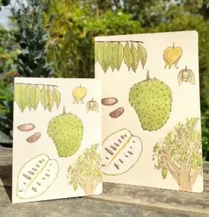 GUANÁBANA MEDIANA PUNTOS