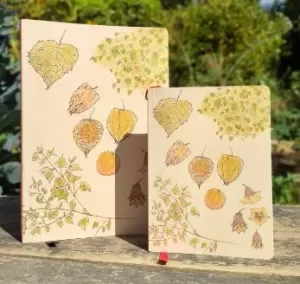 UCHUVA MEDIANA PUNTOS