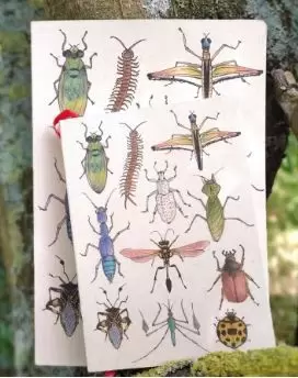 BICHOS MEDIANA PUNTOS