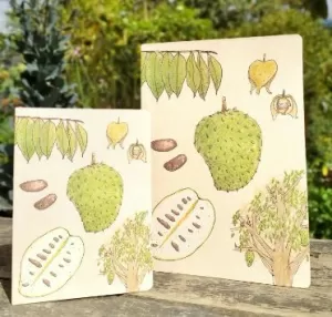 GUANÁBANA GRANDE PUNTOS