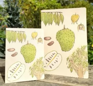 GUANÁBANA MEDIANA BLANCO