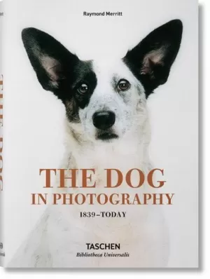 THE DOG IN PHOTOGRAPHY 1839 - TODAY