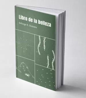 LIBRO DE LA BELLEZA