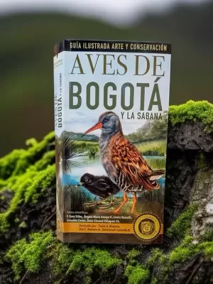 GUÍA ILUSTRADA Y CONSERVACIÓN: AVES DE BOGOTÁ Y LA SABANA
