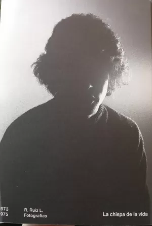 LA CHISPA DE LA VIDA