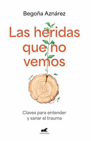 LAS HERIDAS QUE NO VEMOS