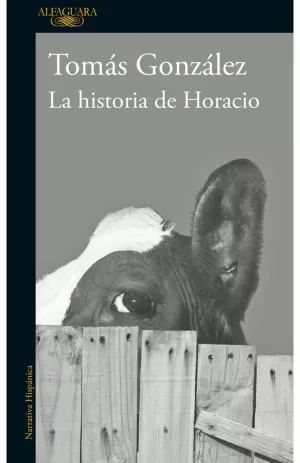 LA HISTORIA DE HORACIO