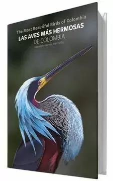 LAS AVES MÁS HERMOSAS DE COLOMBIA
