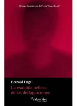 LA ESTÚPIDA BELLEZA DE LAS DEFLAGRACIONES