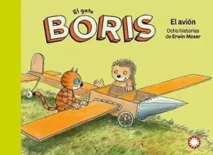 EL GATO BORIS: EL AVIÓN