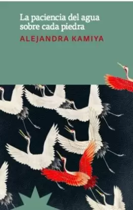 LA PACIENCIA DEL AGUA SOBRE CADA PIEDRA