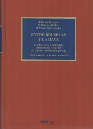 ENTRE BRUSELAS Y LA HAYA ESTUDIOS SOBRE LA UNIFICACION INTERNACIONAL Y REGIONAL DEL DERECHO INTERNAC
