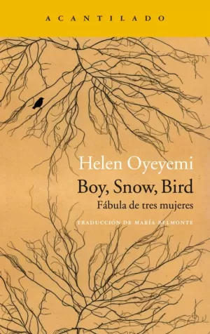 BOY, SNOW, BIRD.