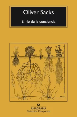 EL RÍO DE LA CONCIENCIA