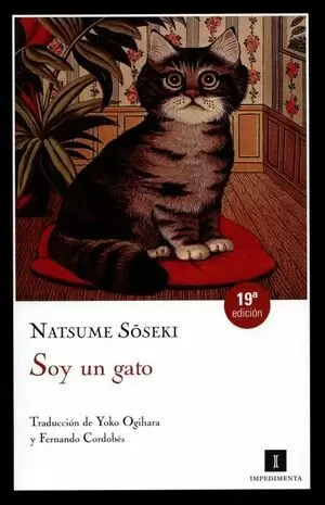 SOY UN GATO