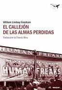 EL CALLEJÓN DE LAS ALMAS PERDIDAS