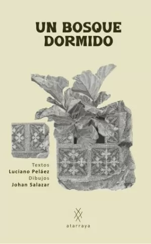 UN BOSQUE DORMIDO