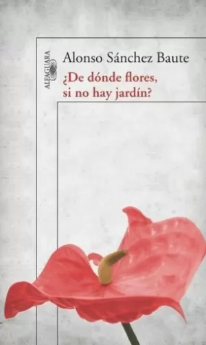 DE DÓNDE FLORES, SI NO HAY JARDÍN?