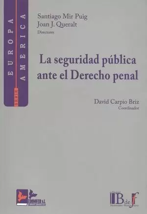 SEGURIDAD PUBLICA ANTE EL DERECHO PENAL, LA